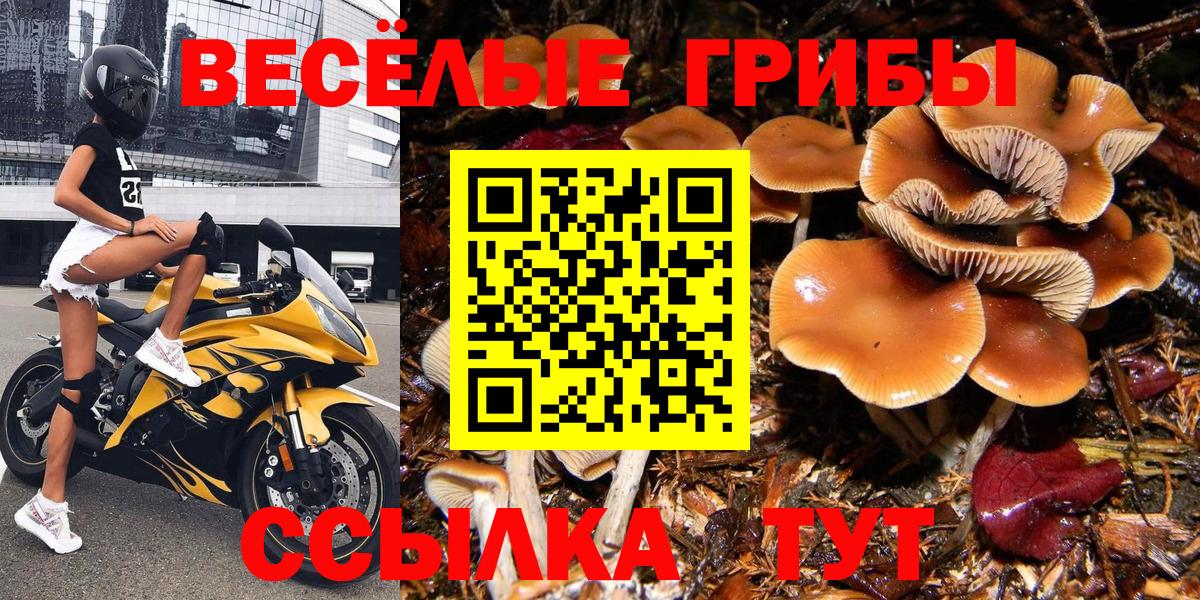 Галлюциногенные грибы GOLDEN TEACHER  Рузаевка 