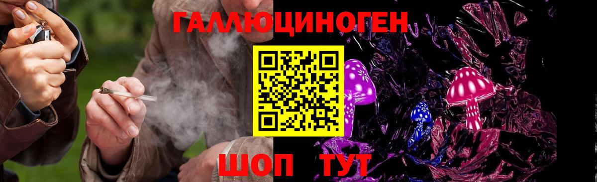 Псилоцибиновые грибы Psilocybine cubensis Рузаевка