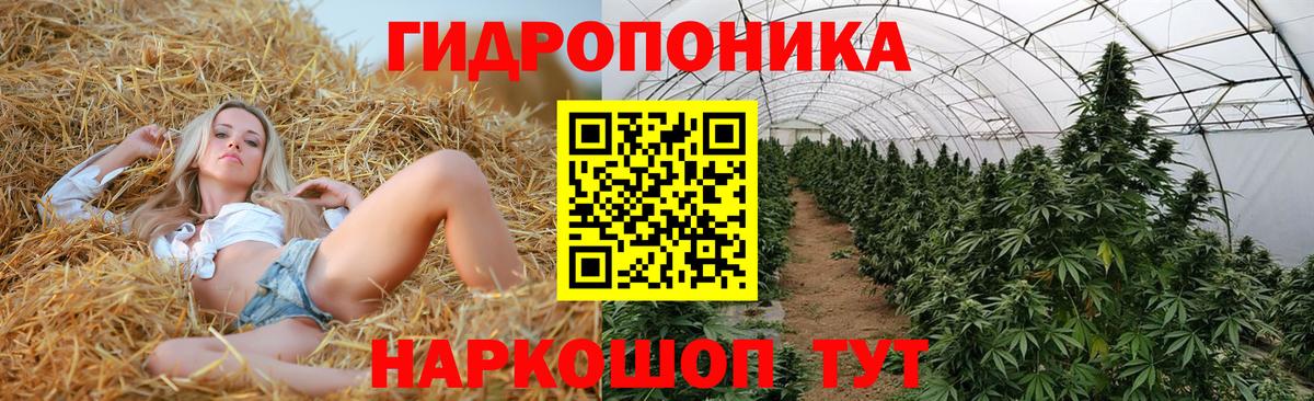 Бошки Шишки семена  Марихуана SATIVA & INDICA  Рузаевка  Марихуана SATIVA & INDICA 